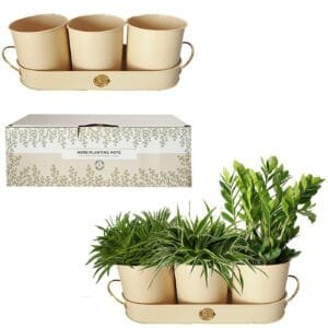 Γλαστράκια για Βότανα σετ 4τεμ Γλάστρα=11,5x11cm, Δίσκος= 34x11,5x4cm Homie 1011016 - (1ΣΕΤ) - (81-996)