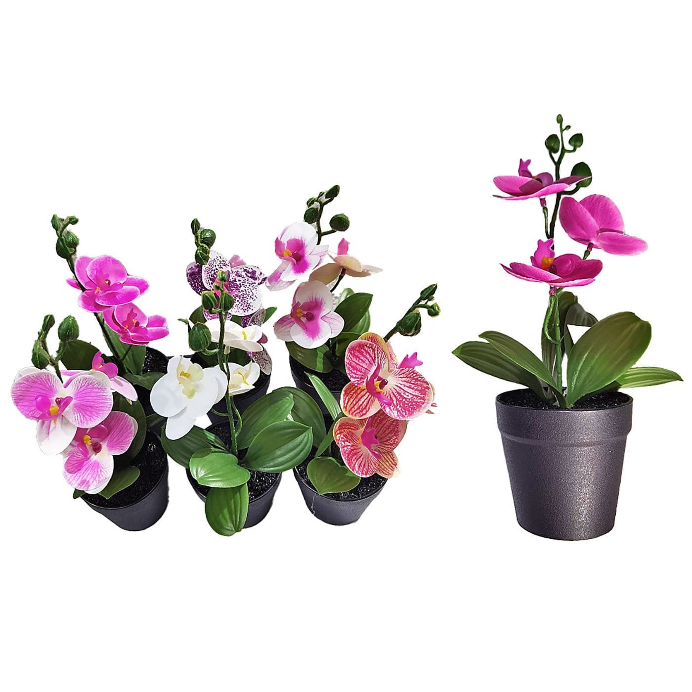 Γλαστράκι Στρογγυλό με Τουλίπες 34x8cm Homie 423037 - (12ΤΕΜ) - (22-3017)