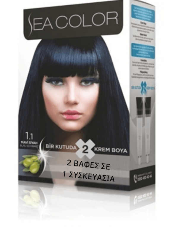 SeaColor Hair Color 1.1 BLUE BLACK