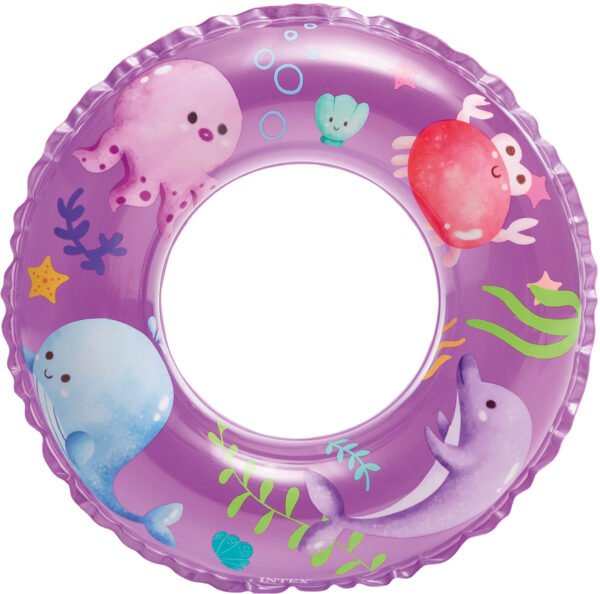 Transparent Rings 59242 - Image 3