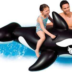 Whale 58561