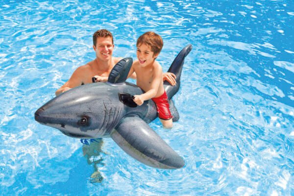Great White Shark 57525