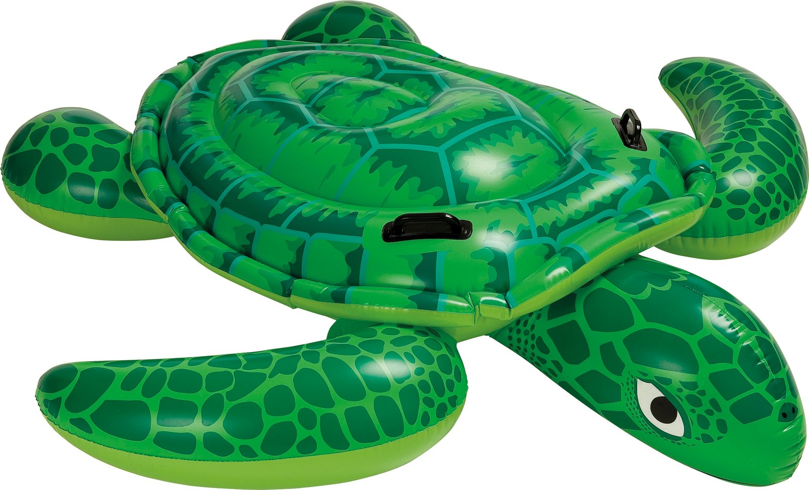 Lil' Sea Turtle 57524 - Image 3