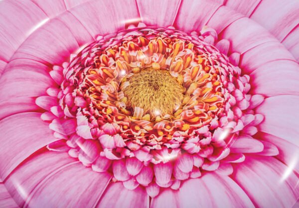 Pink Daisy Flower Mat 58787 - Image 4