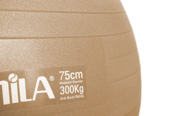 GymBall 75cm Χρυσή Bulk 48415 - Image 3