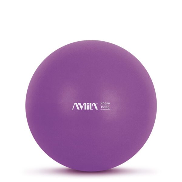 Μπάλα Γυμναστικής AMILA Pilates Ball 25cm Μωβ Bulk 48431