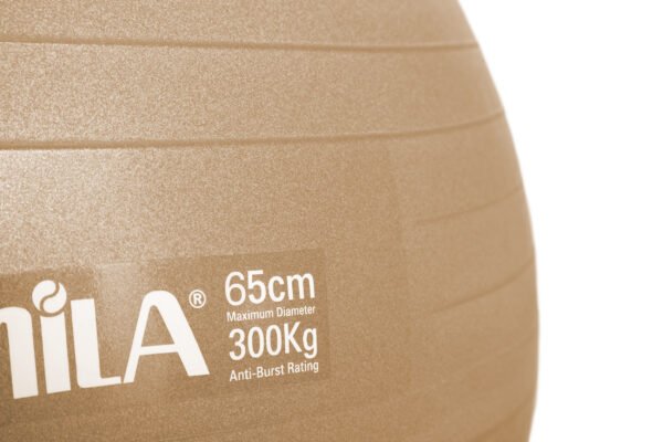 GymBall 65cm Χρυσή Bulk 48413 - Image 3