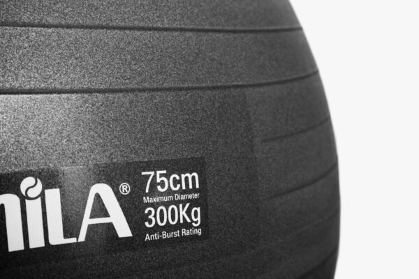 GymBall 75cm Μαύρη Bulk 48417 - Image 3