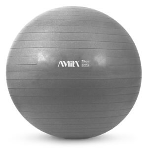 GymBall 75cm Γκρι Bulk 48425
