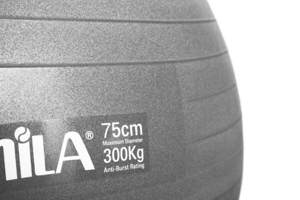 GymBall 75cm Γκρι Bulk 48425 - Image 3