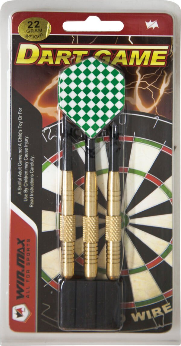 Βέλη με σιδερένια μύτη 22gr 49148