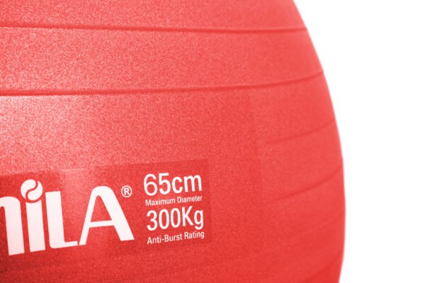GymBall 75cm Κόκκινη 95866 - Image 3