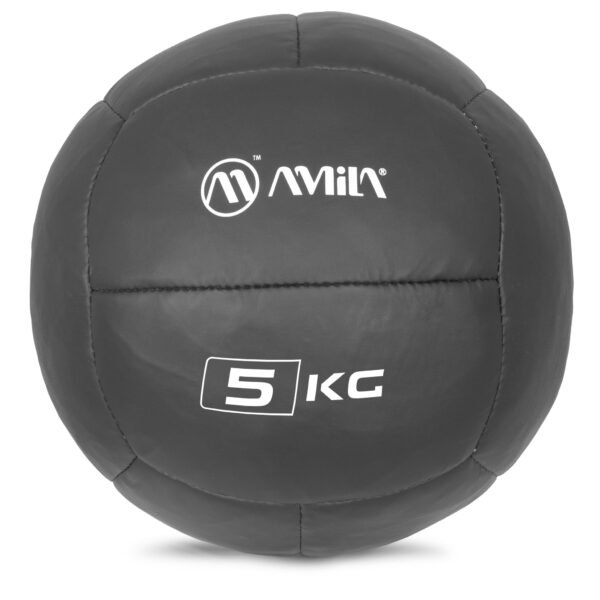 AMILA Wall Ball PU Series 5Kg 94601
