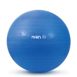 Μπάλα Γυμναστικής (Bulk) 55cm - Μπλε 48437