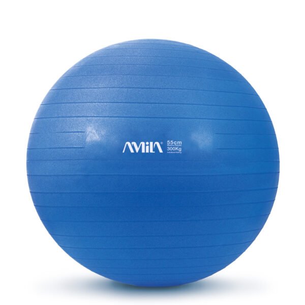 GymBall 55cm Μπλε Bulk 48437