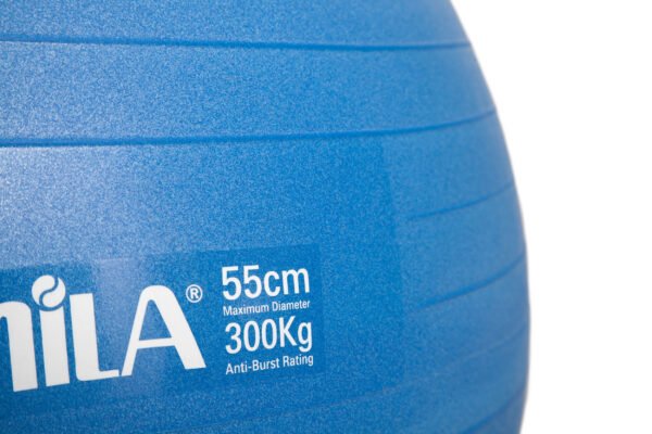 GymBall 55cm Μπλε Bulk 48437 - Image 3