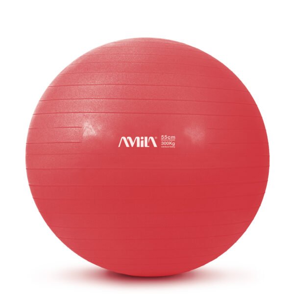 GymBall 55cm Κόκκινη Bulk 48440