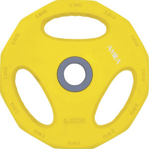 Δίσκος AMILA Pump Rubber Φ30 2,50Kg 84516