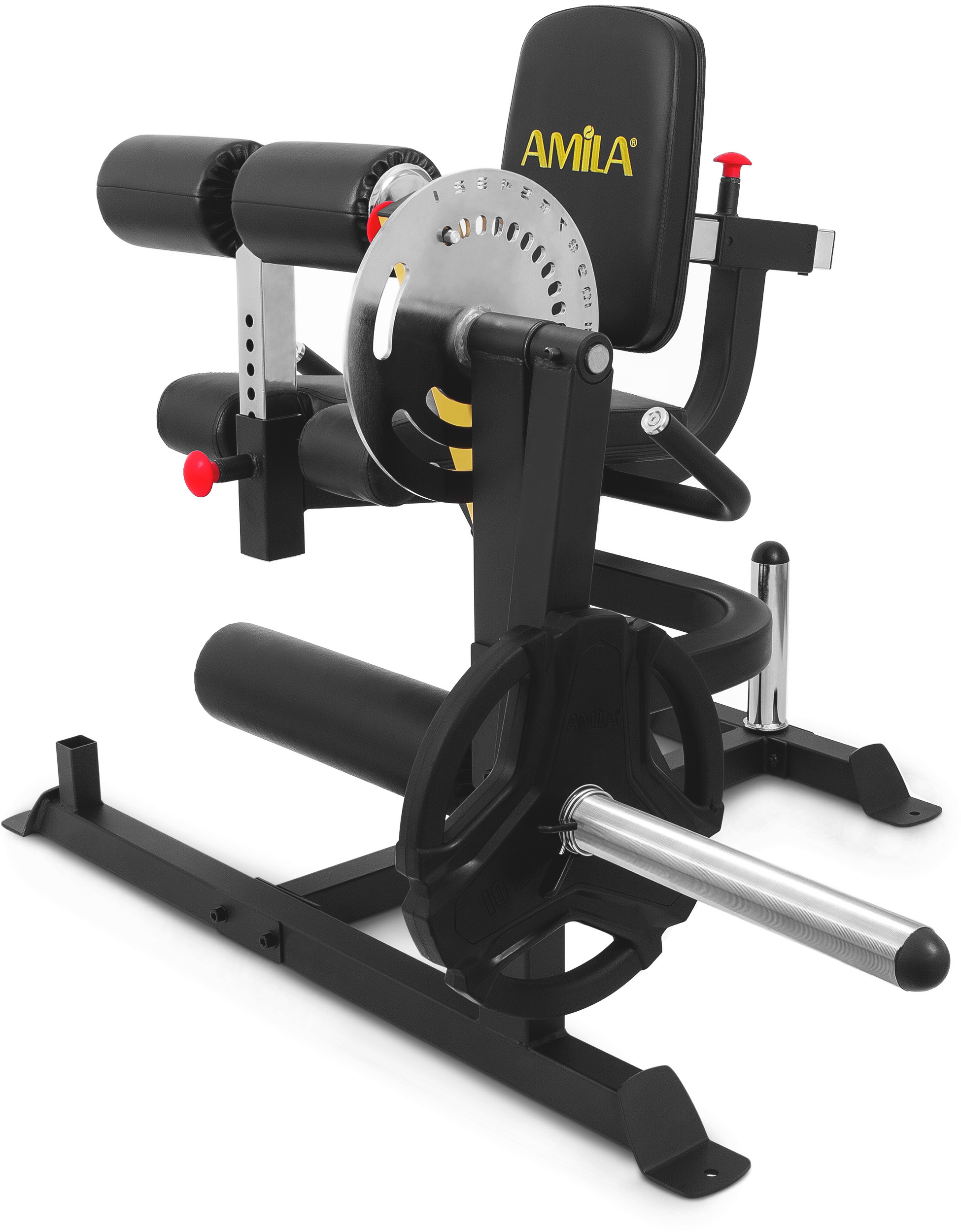 Μηχάνημα Leg Curl / Leg Extension AMILA AX1030 93703 - Image 3