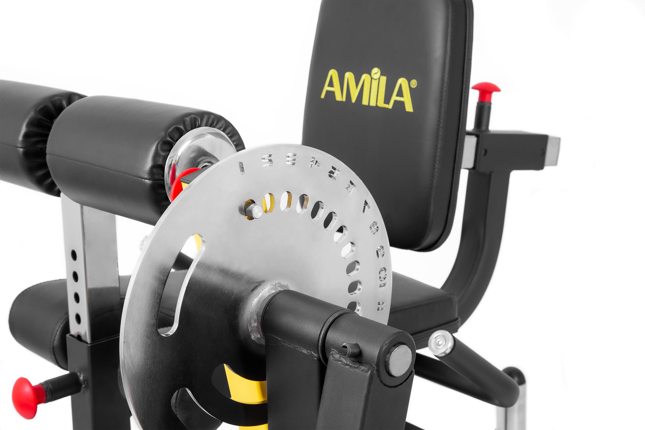 Μηχάνημα Leg Curl / Leg Extension AMILA AX1030 93703 - Image 5